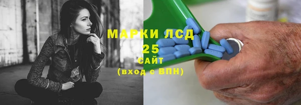 дживик Майский