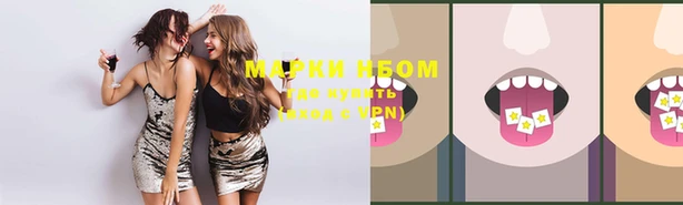 дживик Майский