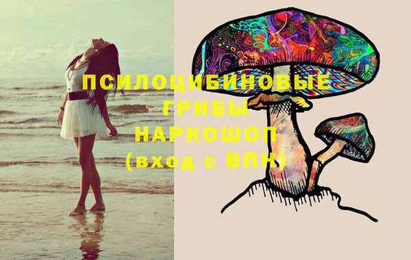 дживик Майский