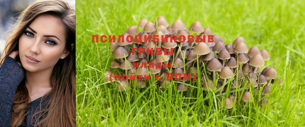 гашишное масло Магас