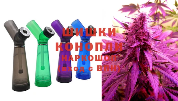 дживик Майский