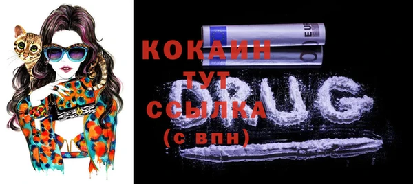 дживик Майский