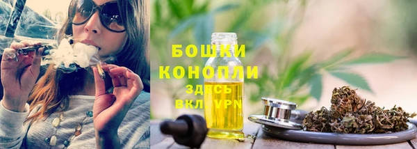 дживик Майский