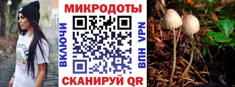 Псилоцибиновые грибы прущие грибы  Купить закладки  Щёлково 
